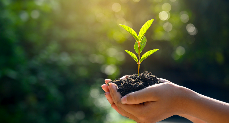 Curso de sustentabilidade em São Luiz Curso de sustentabilidade em São Luiz