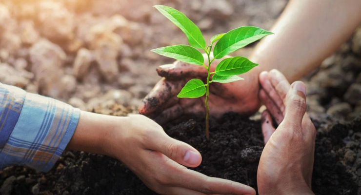 Curso de ESG em São Luiz Curso de ESG em São Luiz