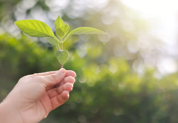 Curso de ESG em São Mateus