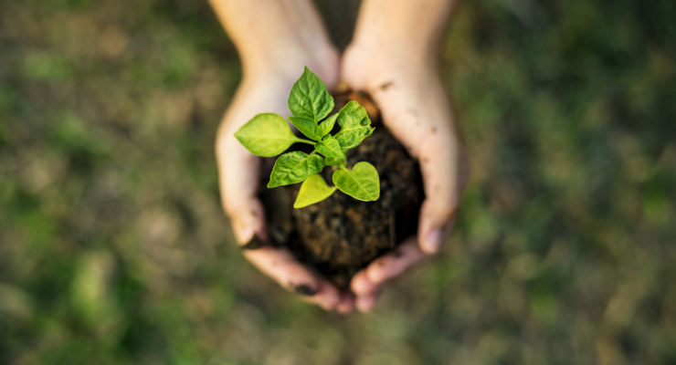 Curso de sustentabilidade em Apucarana Curso de sustentabilidade em Apucarana