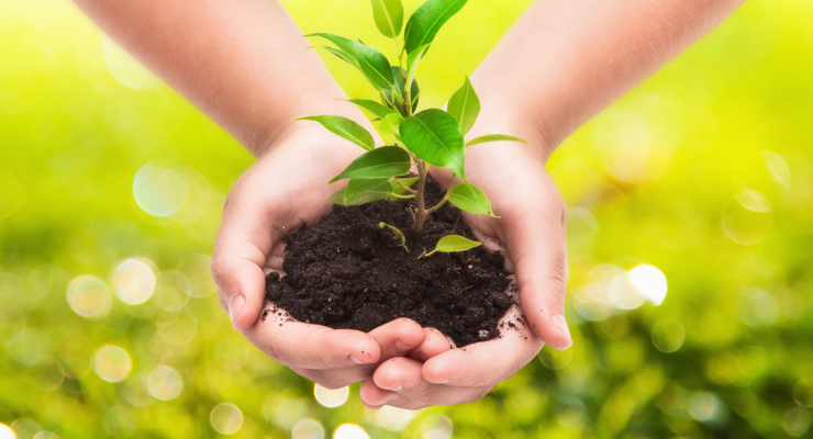 Curso de sustentabilidade em Garanhuns Curso de sustentabilidade em Garanhuns