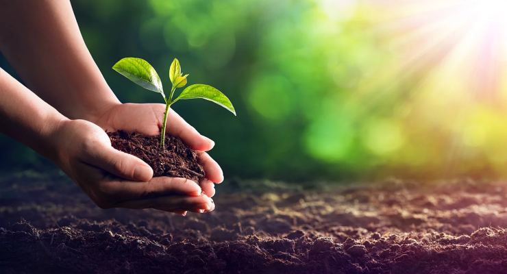 Curso de sustentabilidade em Jequié