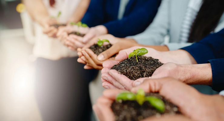 Curso de sustentabilidade em Sumaré