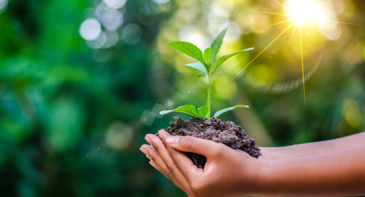 Curso de sustentabilidade em Teixeira de Freitas Curso de sustentabilidade em Teixeira de Freitas