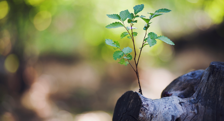 Curso de ESG em Franca Curso de ESG em Franca