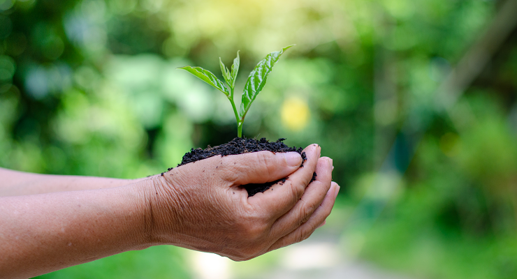 Curso de sustentabilidade em Osasco Curso de sustentabilidade em Osasco
