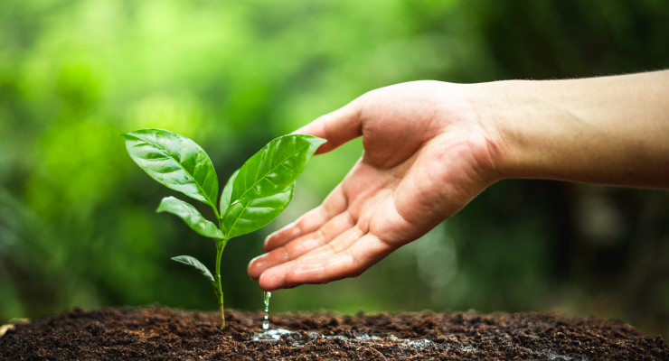 Curso de sustentabilidade em Volta Redonda Curso de sustentabilidade em Volta Redonda