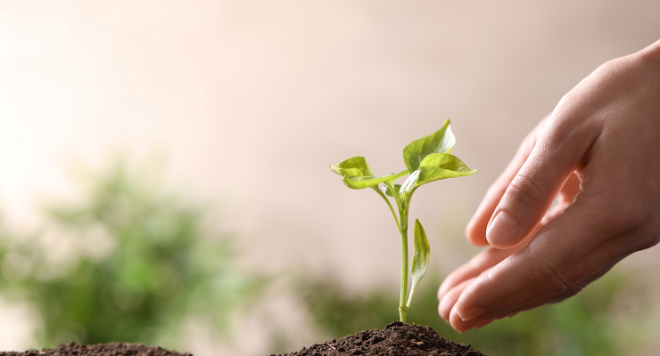 Curso de sustentabilidade em Porto Velho Curso de sustentabilidade em Porto Velho