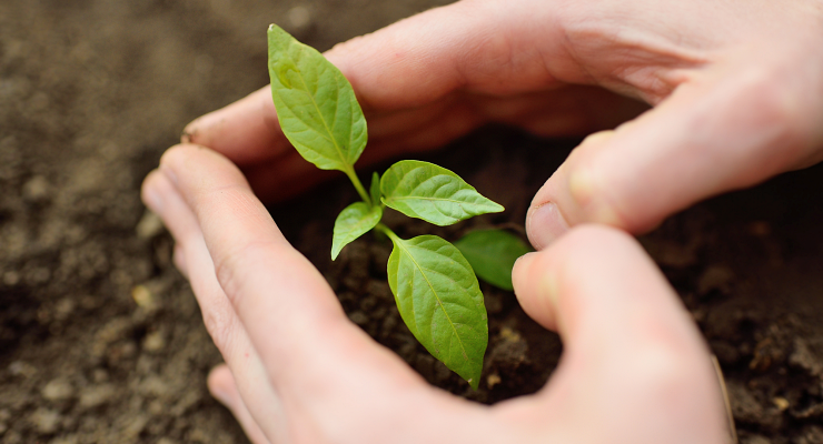 Curso de ESG em Bauru Curso de ESG em Bauru