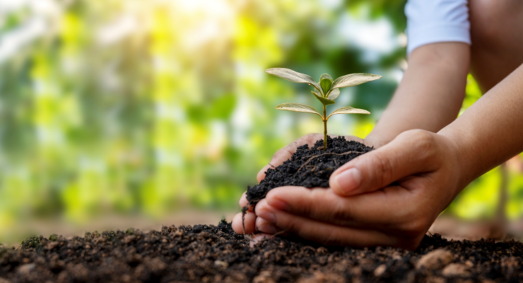 Curso de sustentabilidade em Paulista Curso de sustentabilidade em Paulista