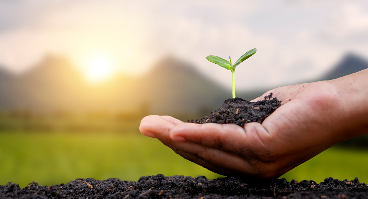 Curso de sustentabilidade em Petrolina Curso de sustentabilidade em Petrolina