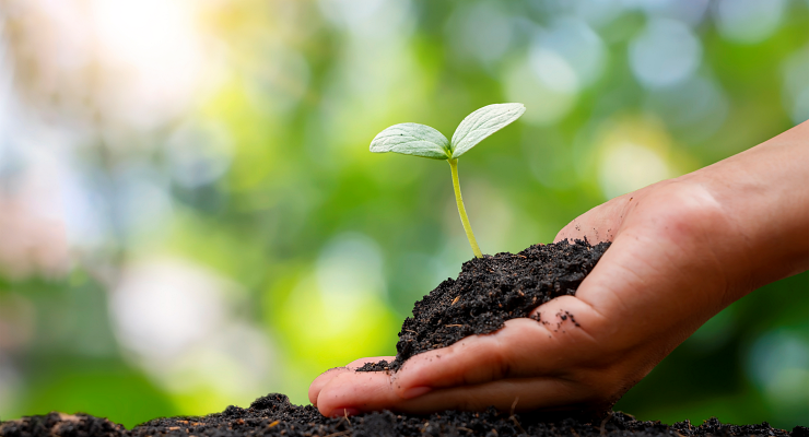 Curso de sustentabilidade em Macapá Curso de sustentabilidade em Macapá