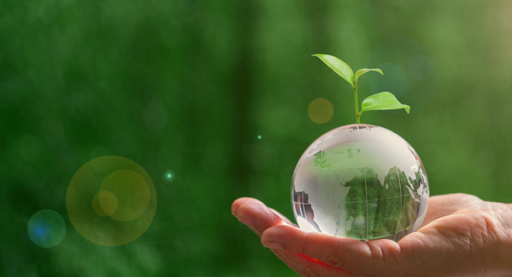 Curso de sustentabilidade em Foz do Iguaçu Curso de sustentabilidade em Foz do Iguaçu