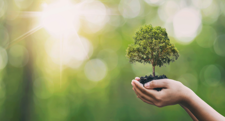 Curso de sustentabilidade em Rio Verde Curso de sustentabilidade em Rio Verde