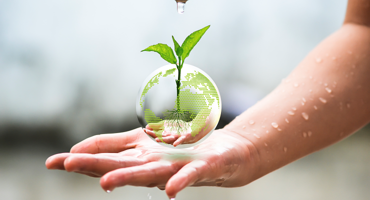 Curso de sustentabilidade em Corumbá